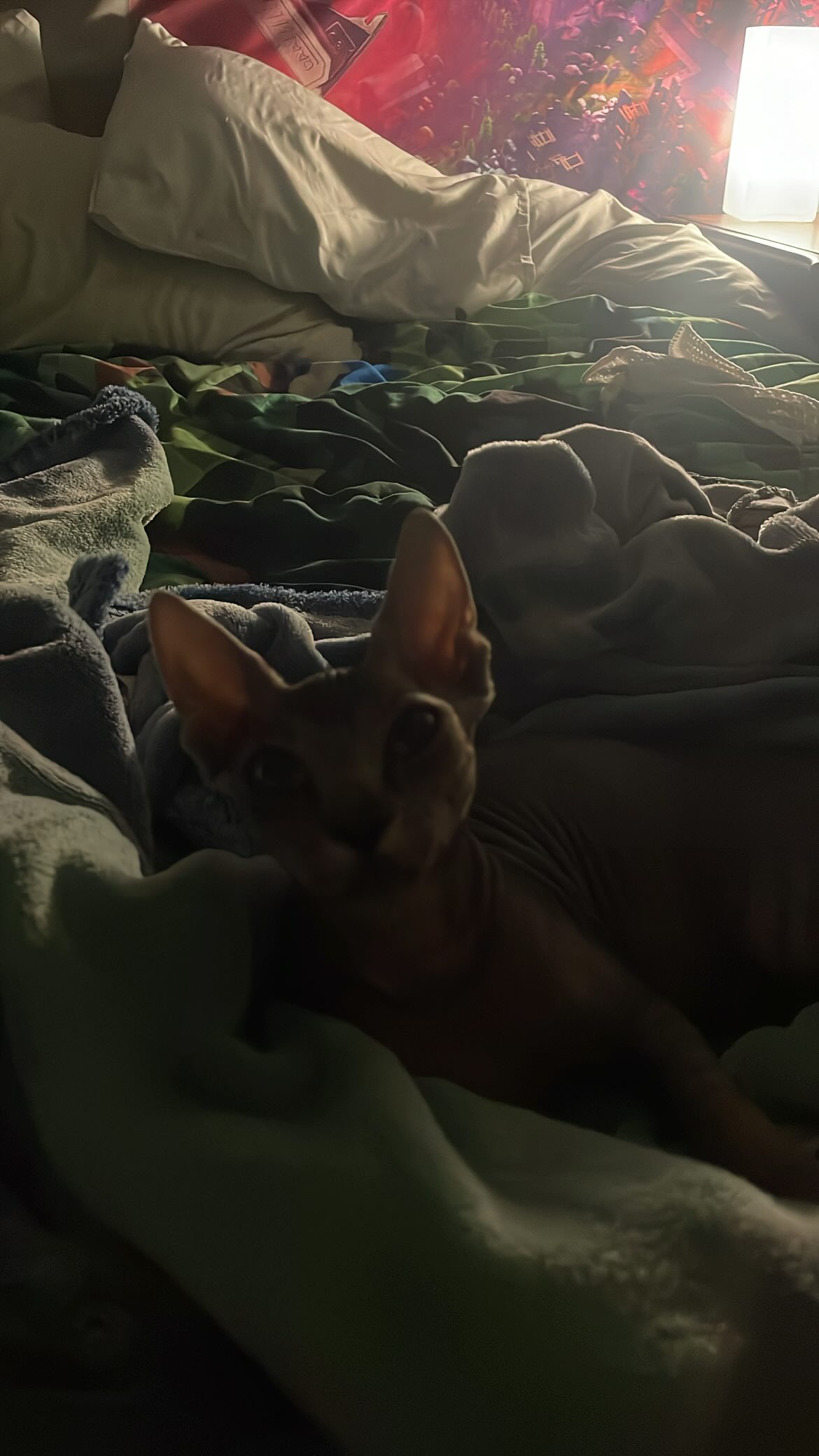 vanessa.julienne instagram image archive image