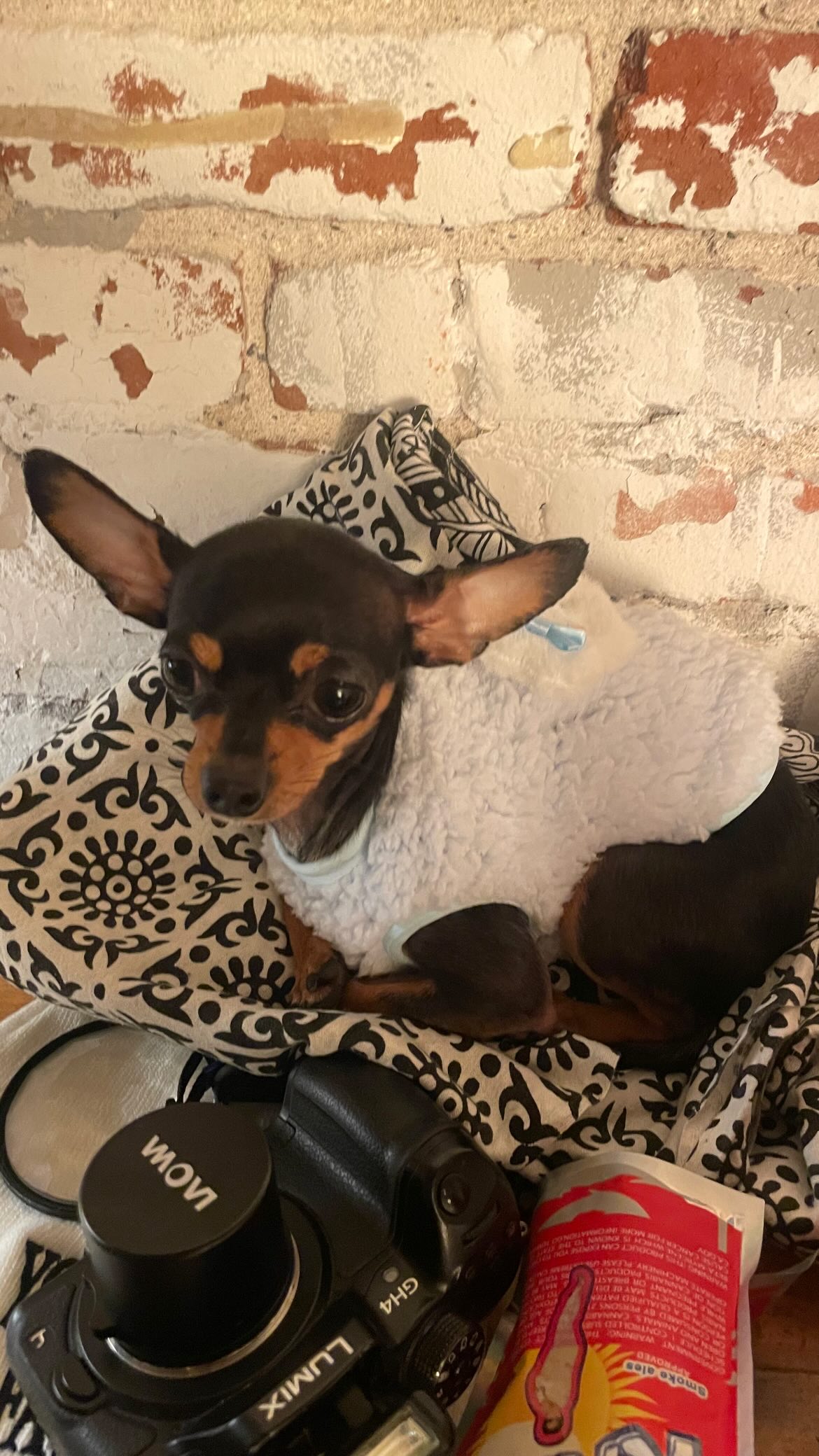 vanessa.julienne instagram image archive image