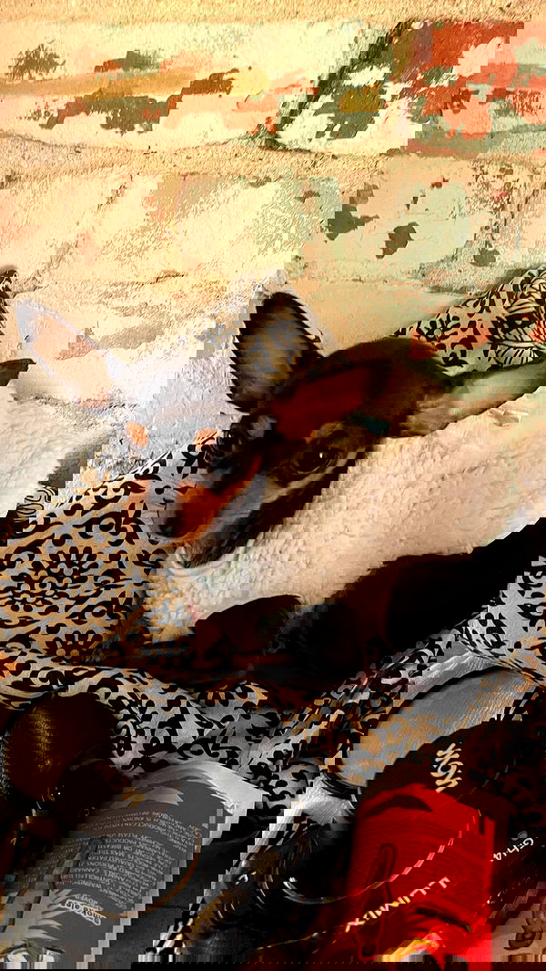 vanessa.julienne image ~ Altpins