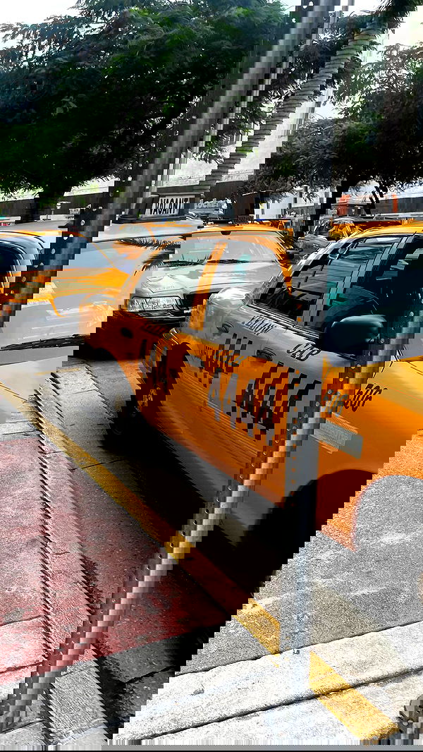 vanessa.julienne image ~ Altpins