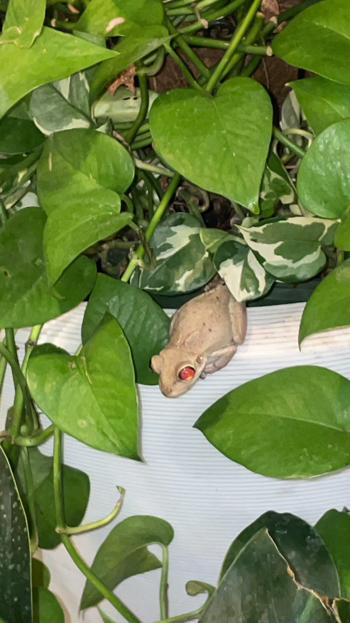 vanessa.julienne instagram image archive image