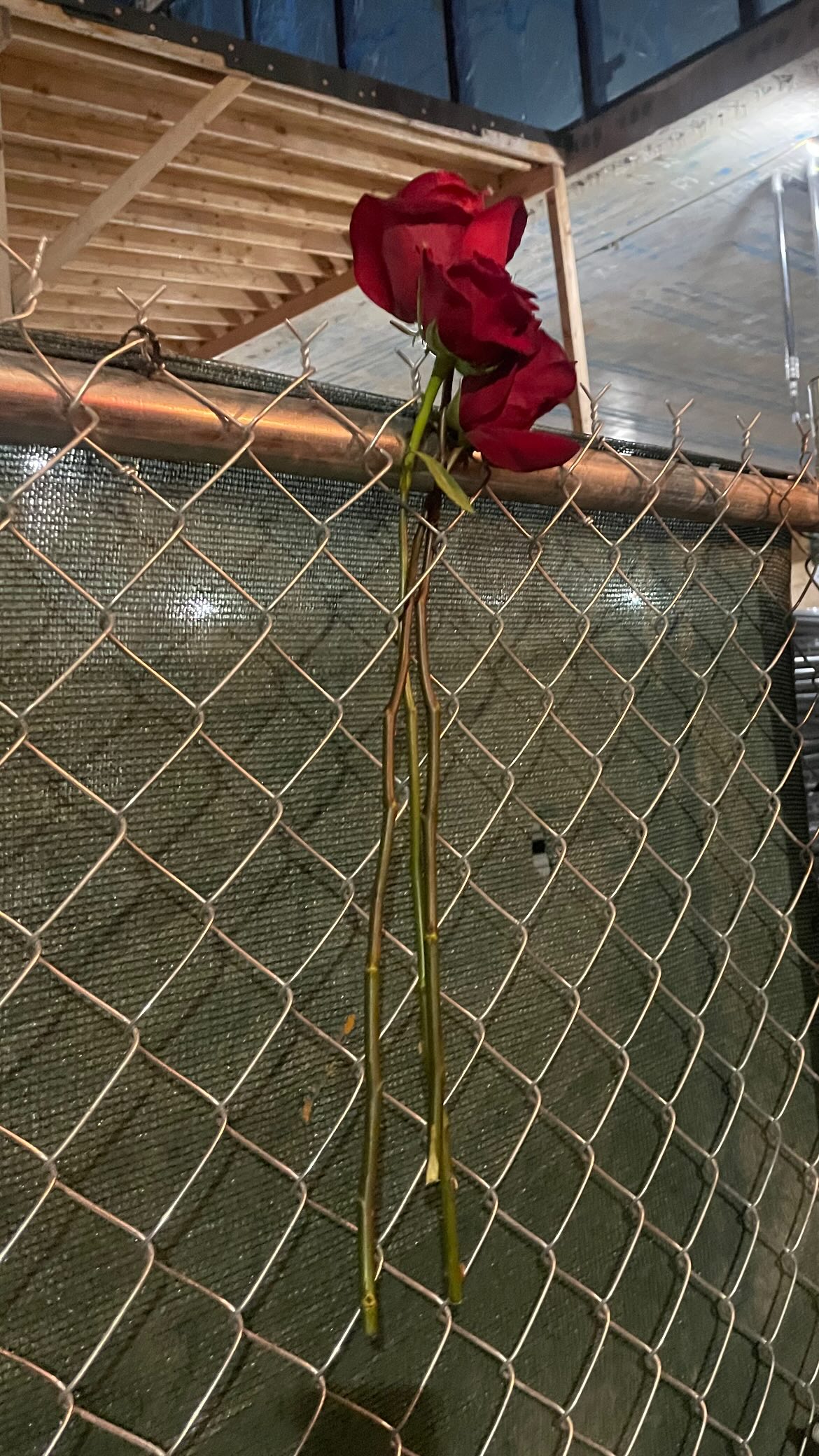 vanessa.julienne instagram image archive image