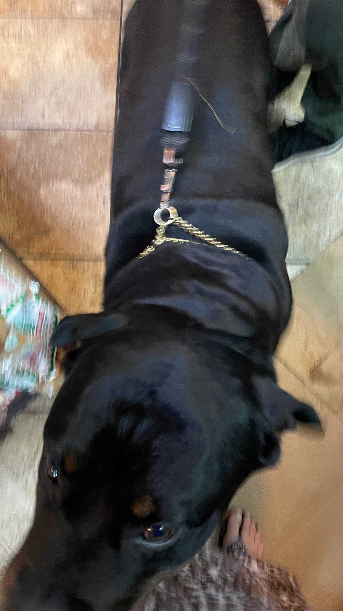 vanessa.julienne instagram image archive image