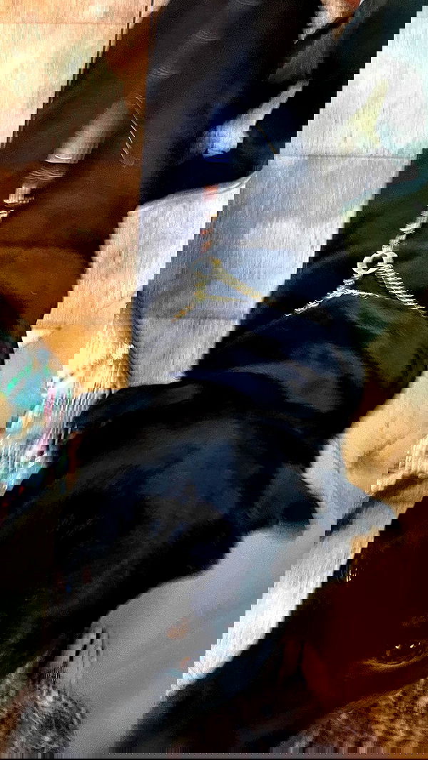 vanessa.julienne image ~ Altpins