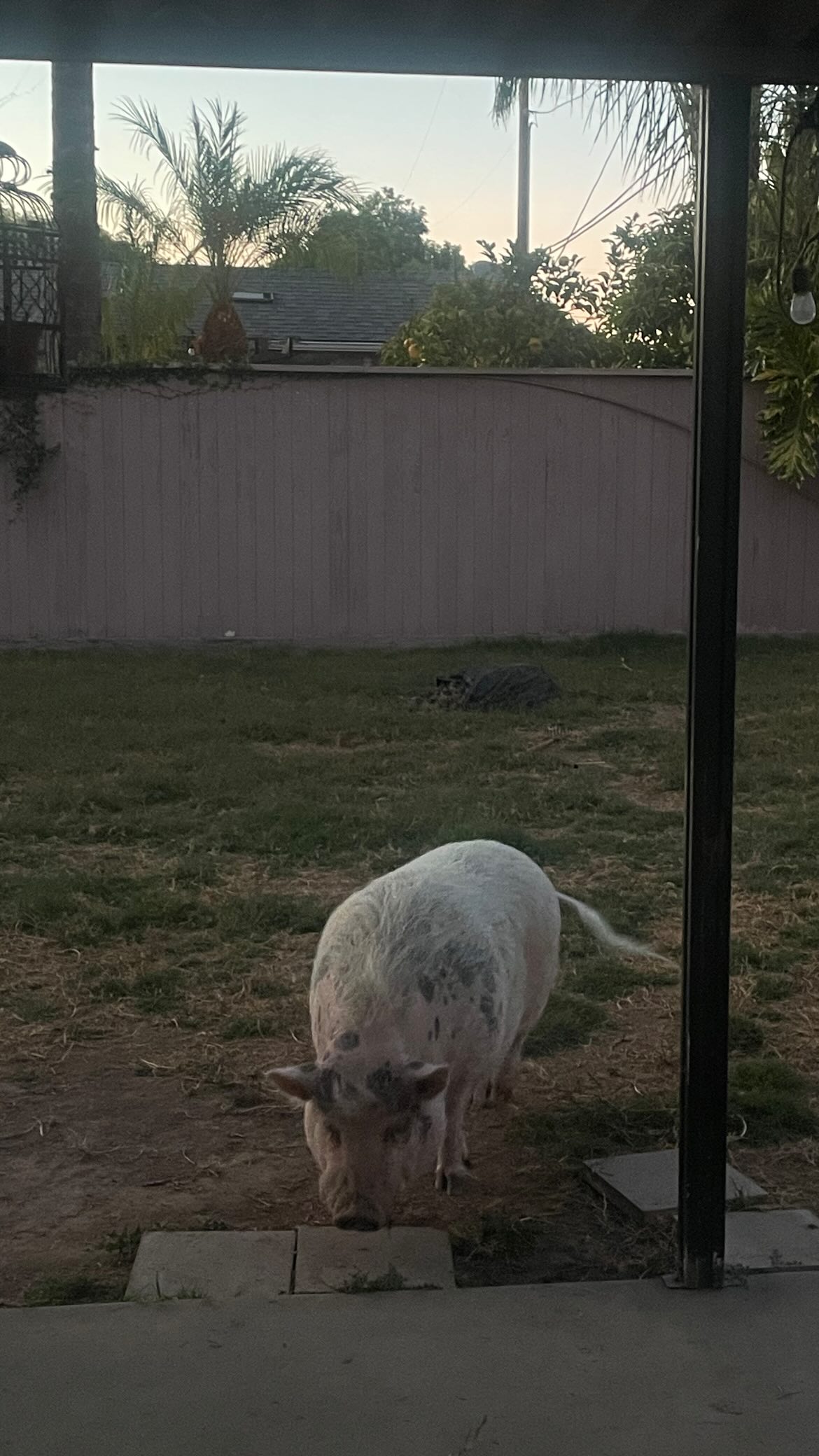 vanessa.julienne instagram image archive image