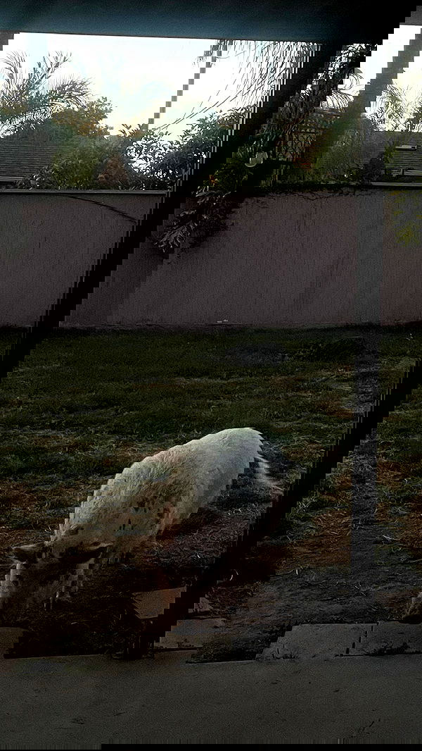 vanessa.julienne image ~ Altpins