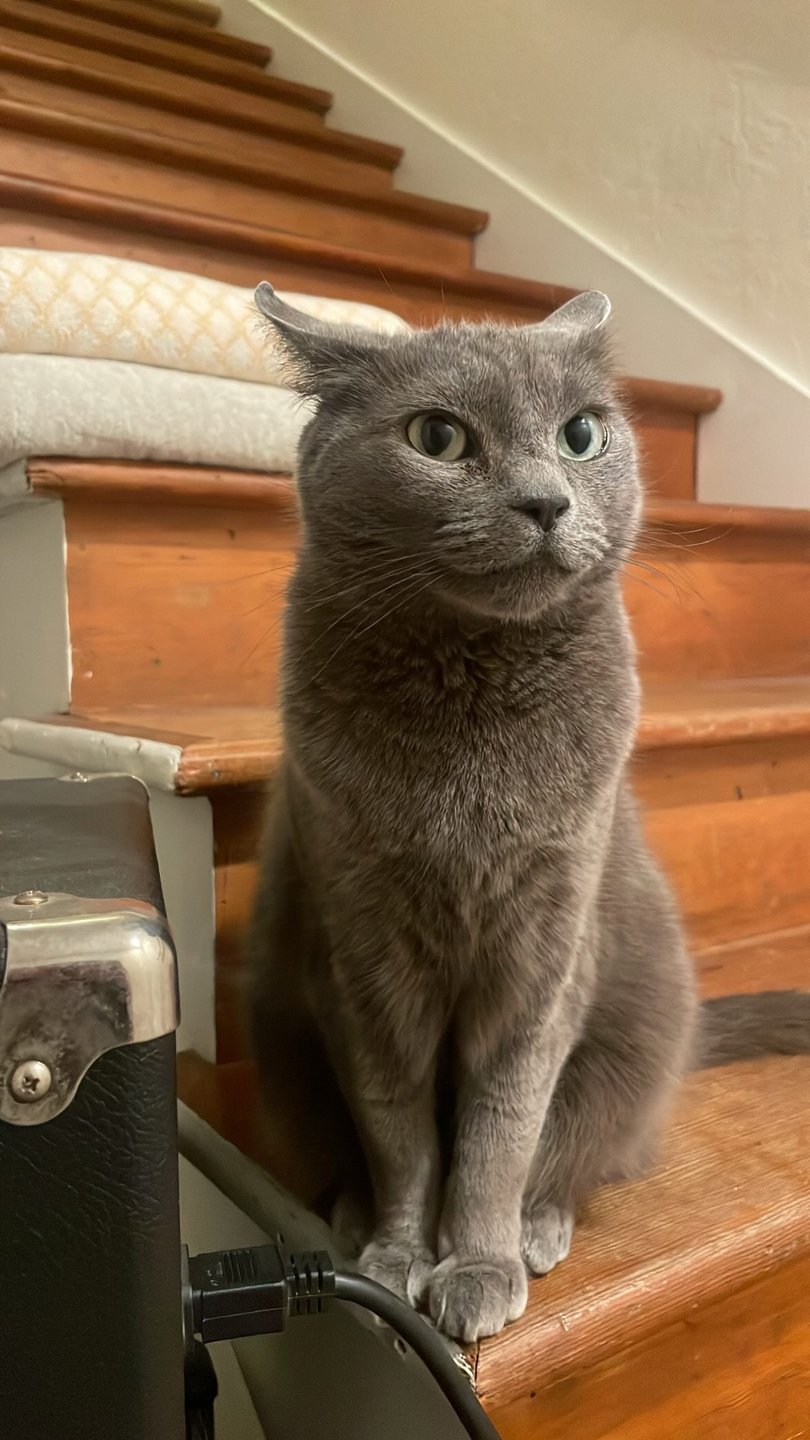 vanessa.julienne instagram image archive image