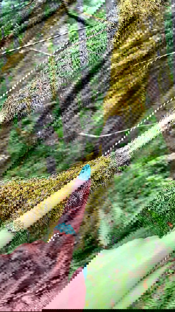 vanessa.julienne image ~ Altpins