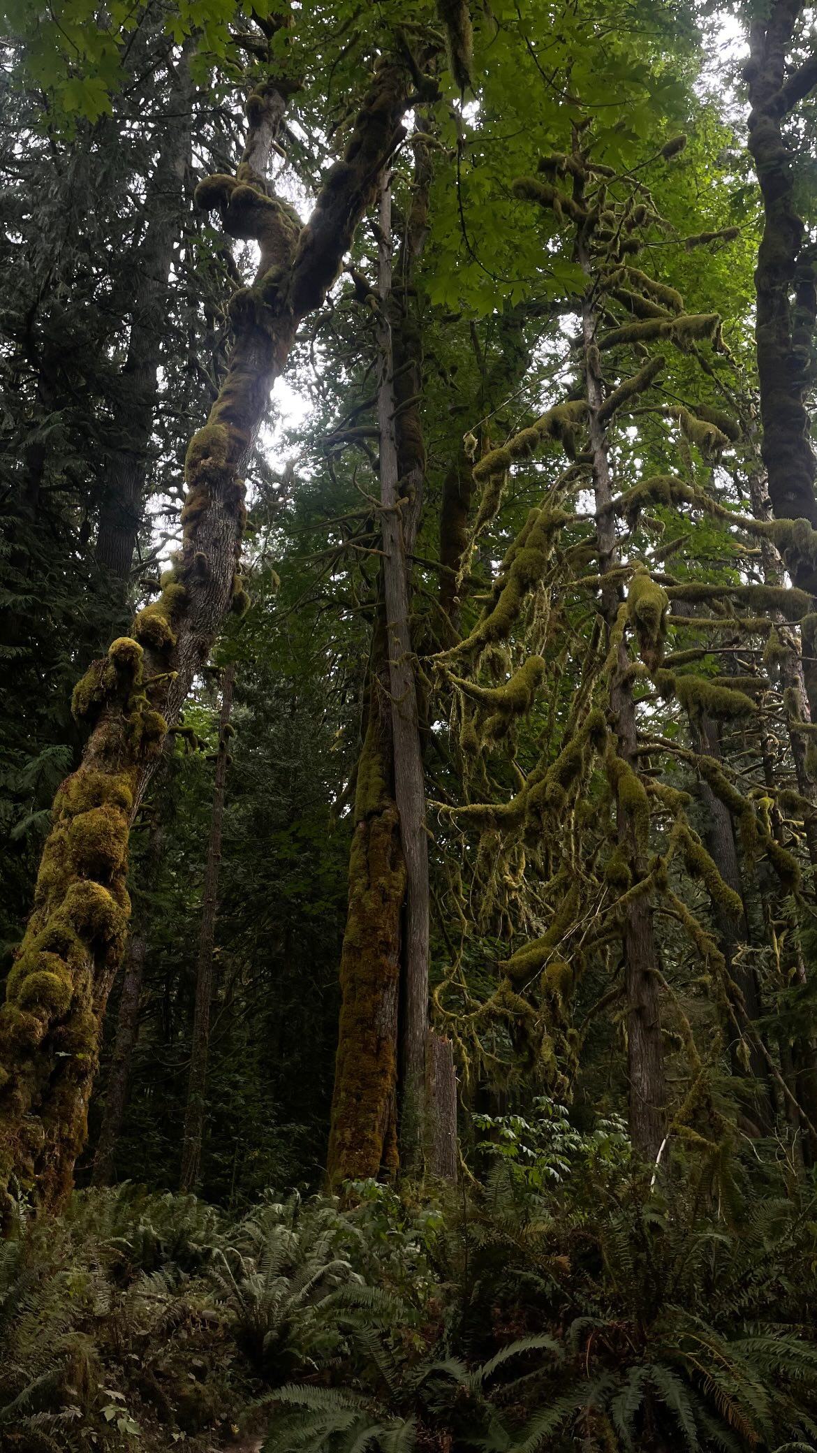 vanessa.julienne instagram image archive image