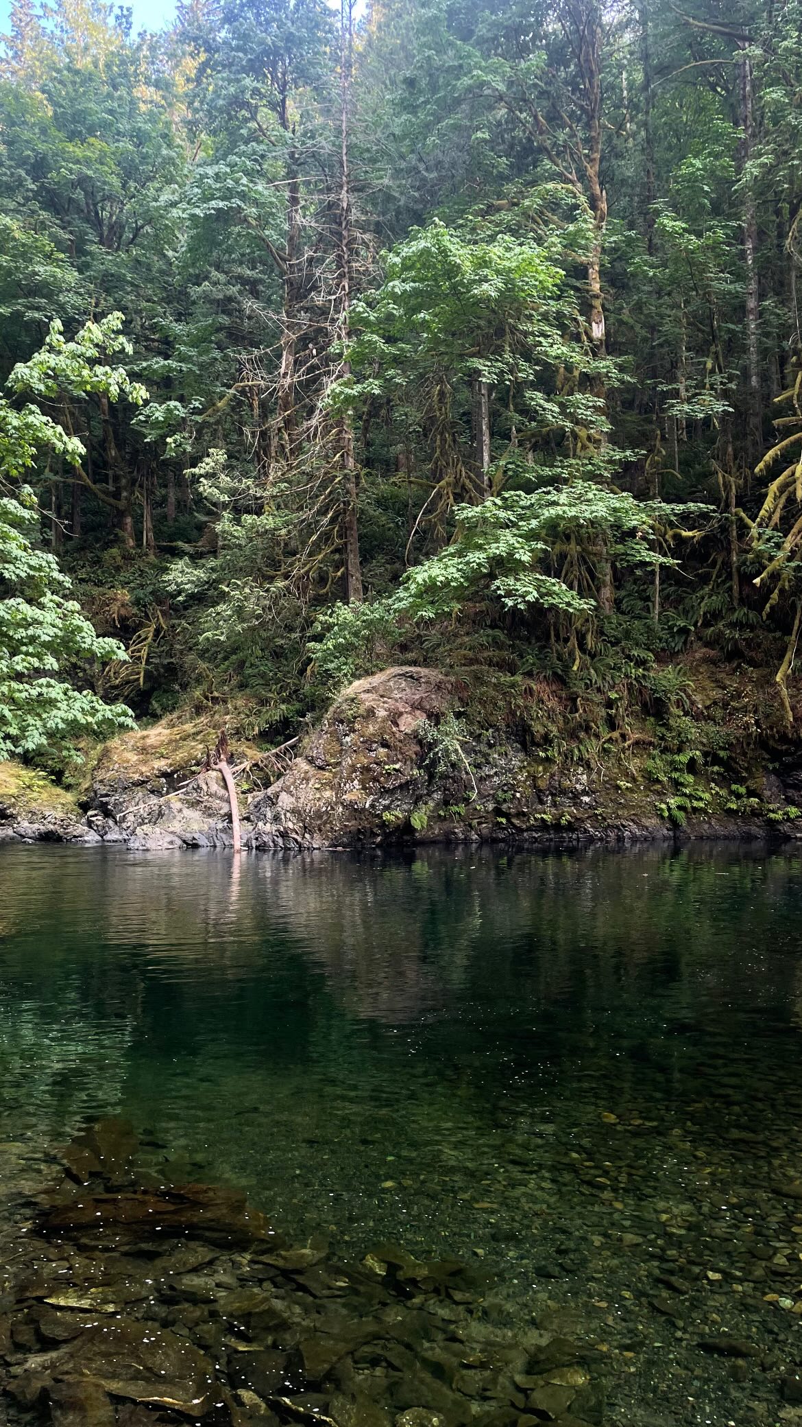 vanessa.julienne instagram image archive image