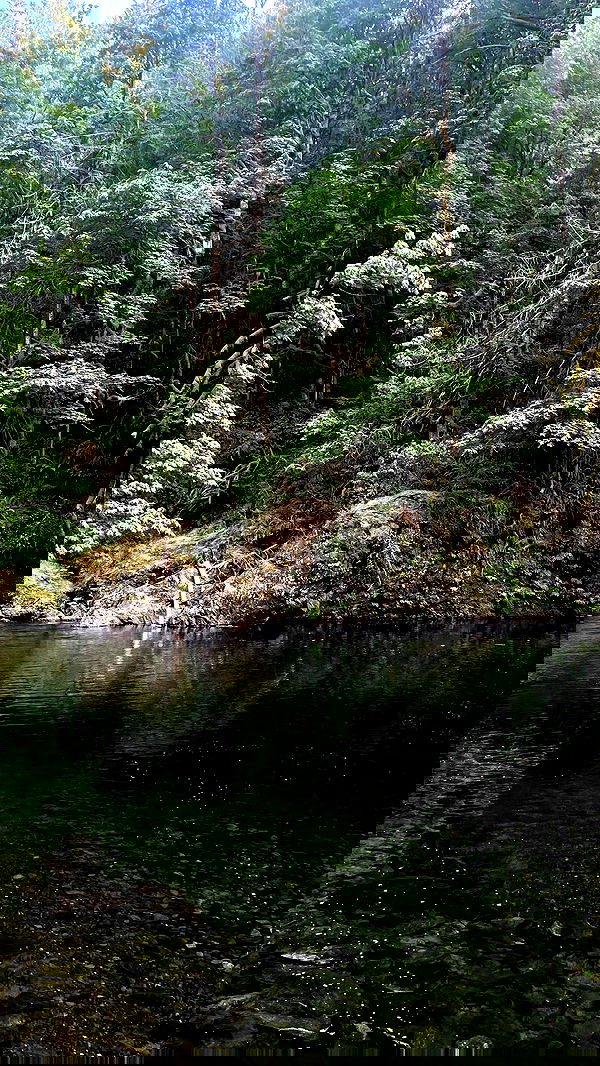 vanessa.julienne image ~ Altpins