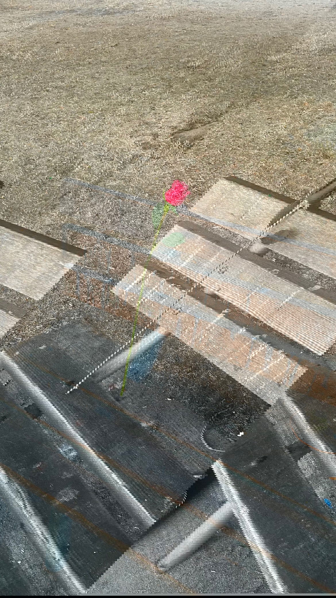 vanessa.julienne instagram image archive image