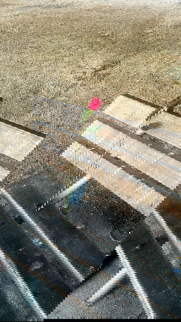 vanessa.julienne image ~ Altpins