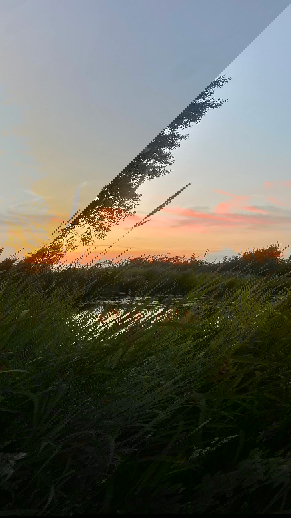 vanessa.julienne instagram image archive image