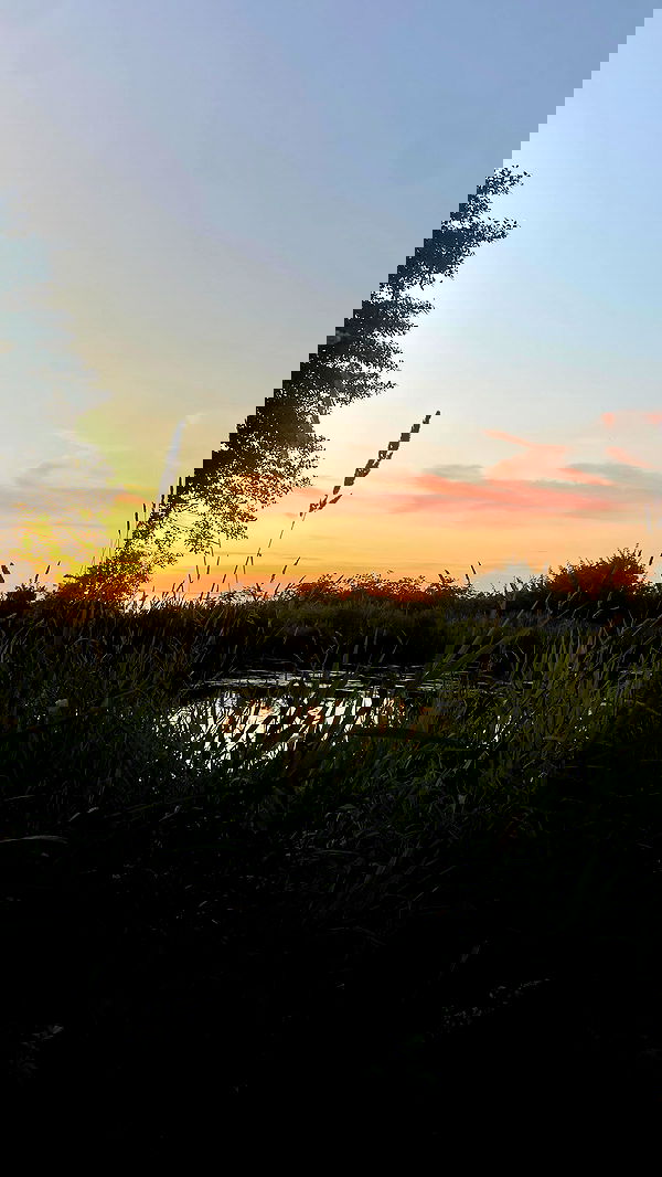 vanessa.julienne image ~ Altpins