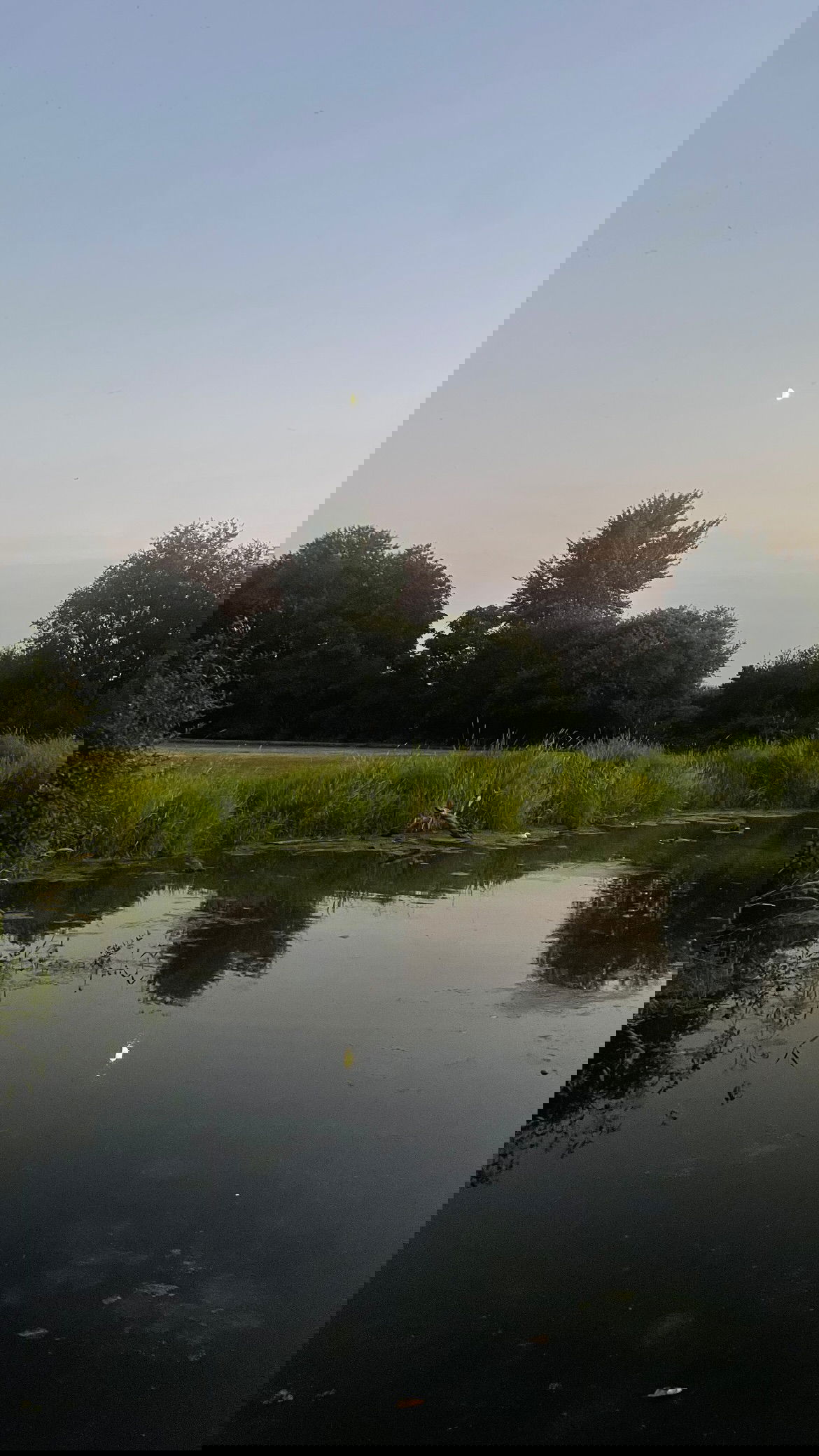 vanessa.julienne instagram image archive image