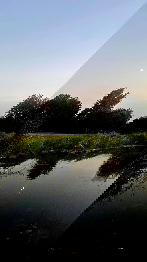 vanessa.julienne image ~ Altpins