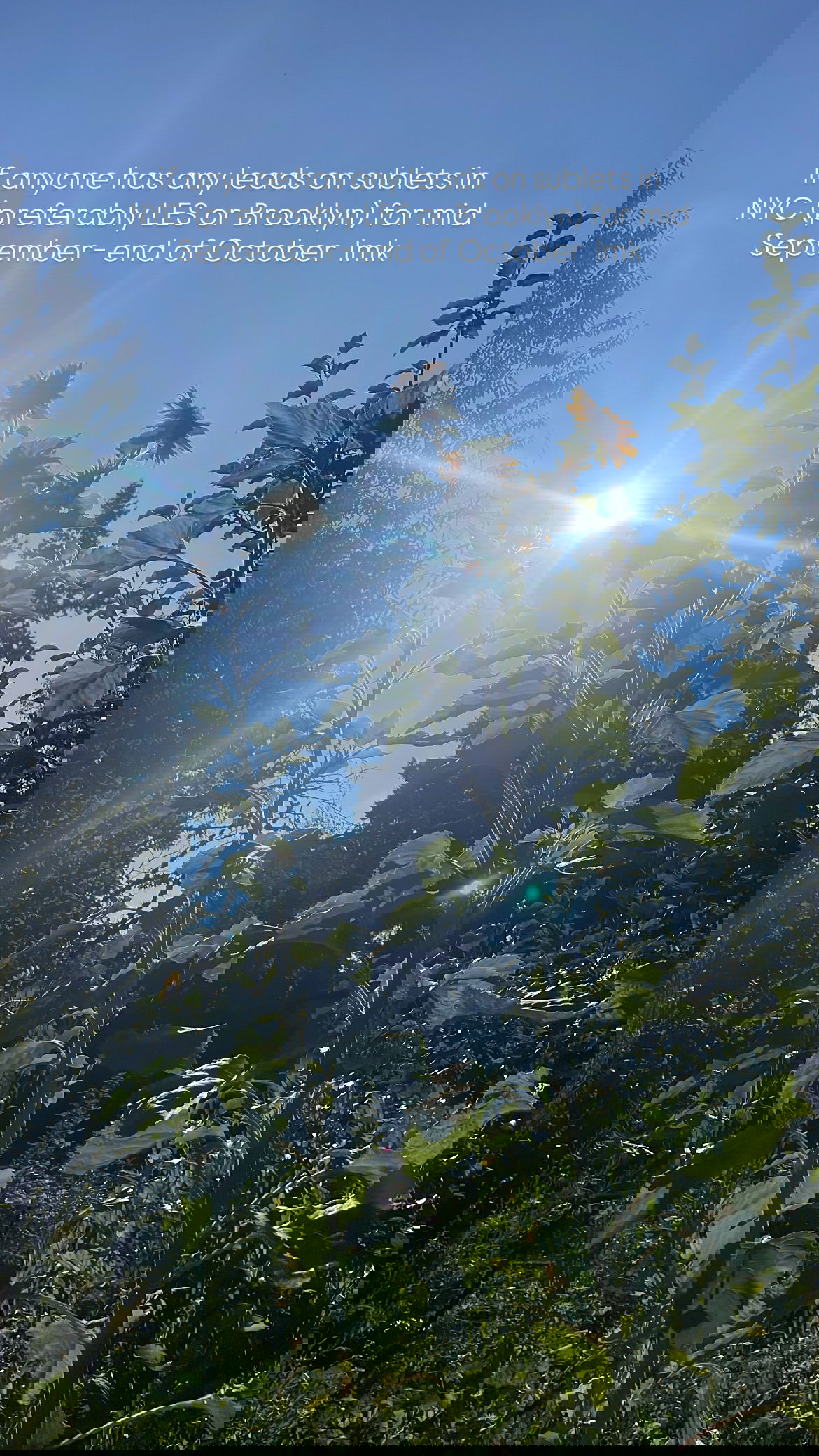 vanessa.julienne instagram image archive image