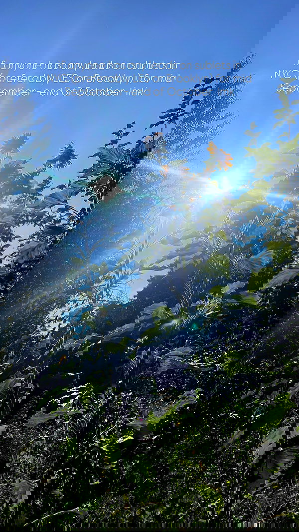 vanessa.julienne image ~ Altpins