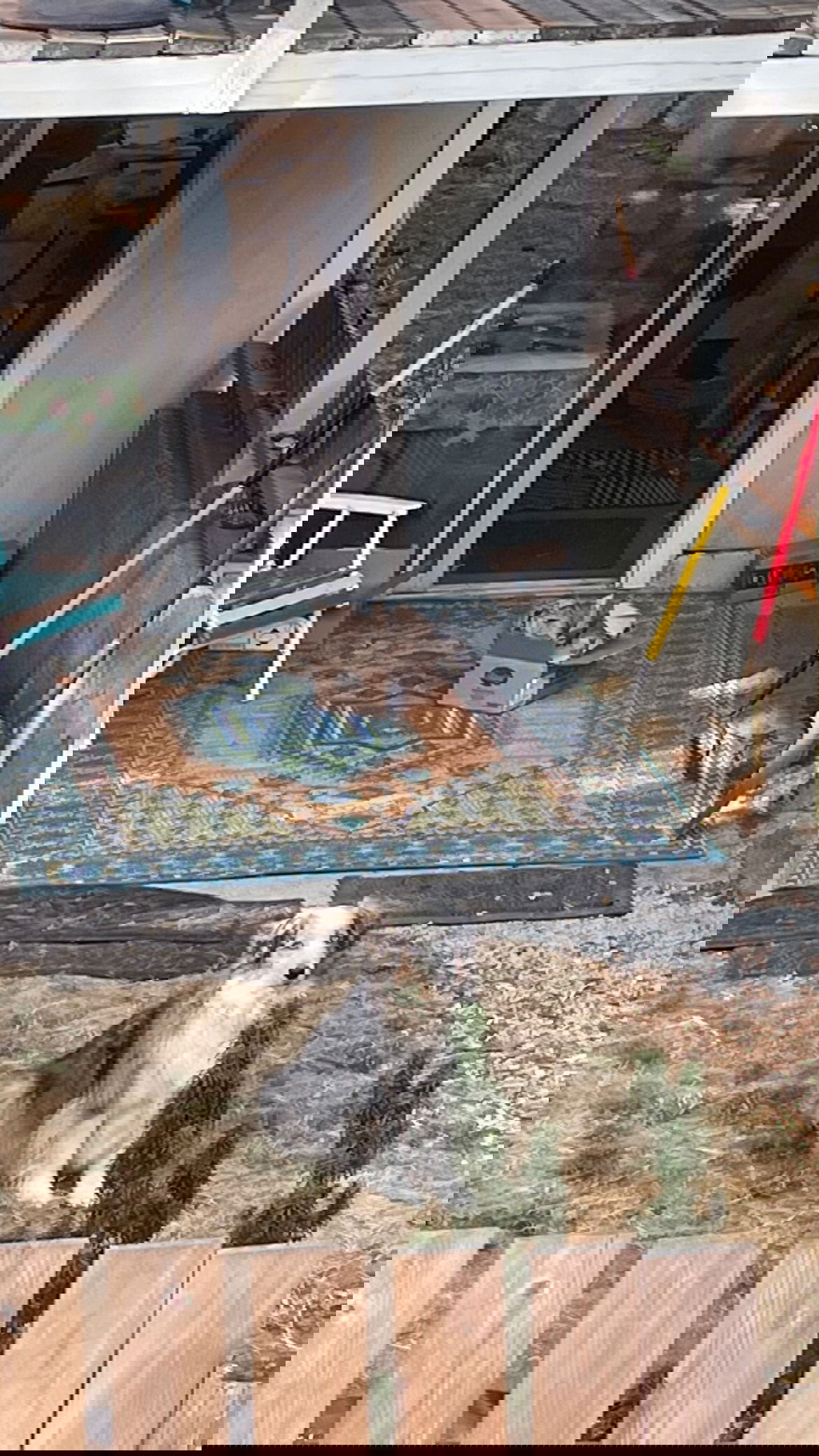 vanessa.julienne instagram image archive image