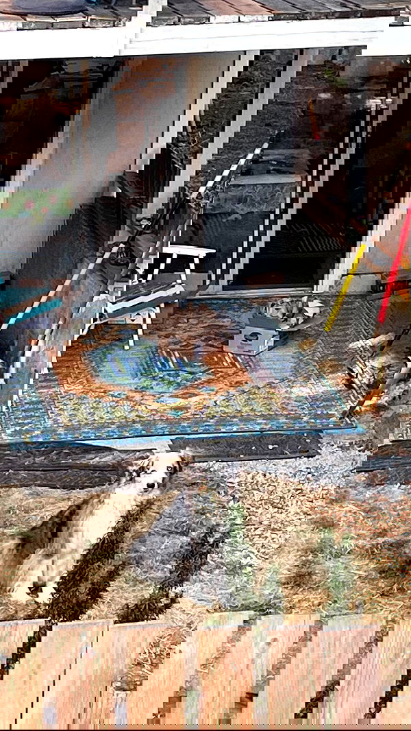 vanessa.julienne image ~ Altpins