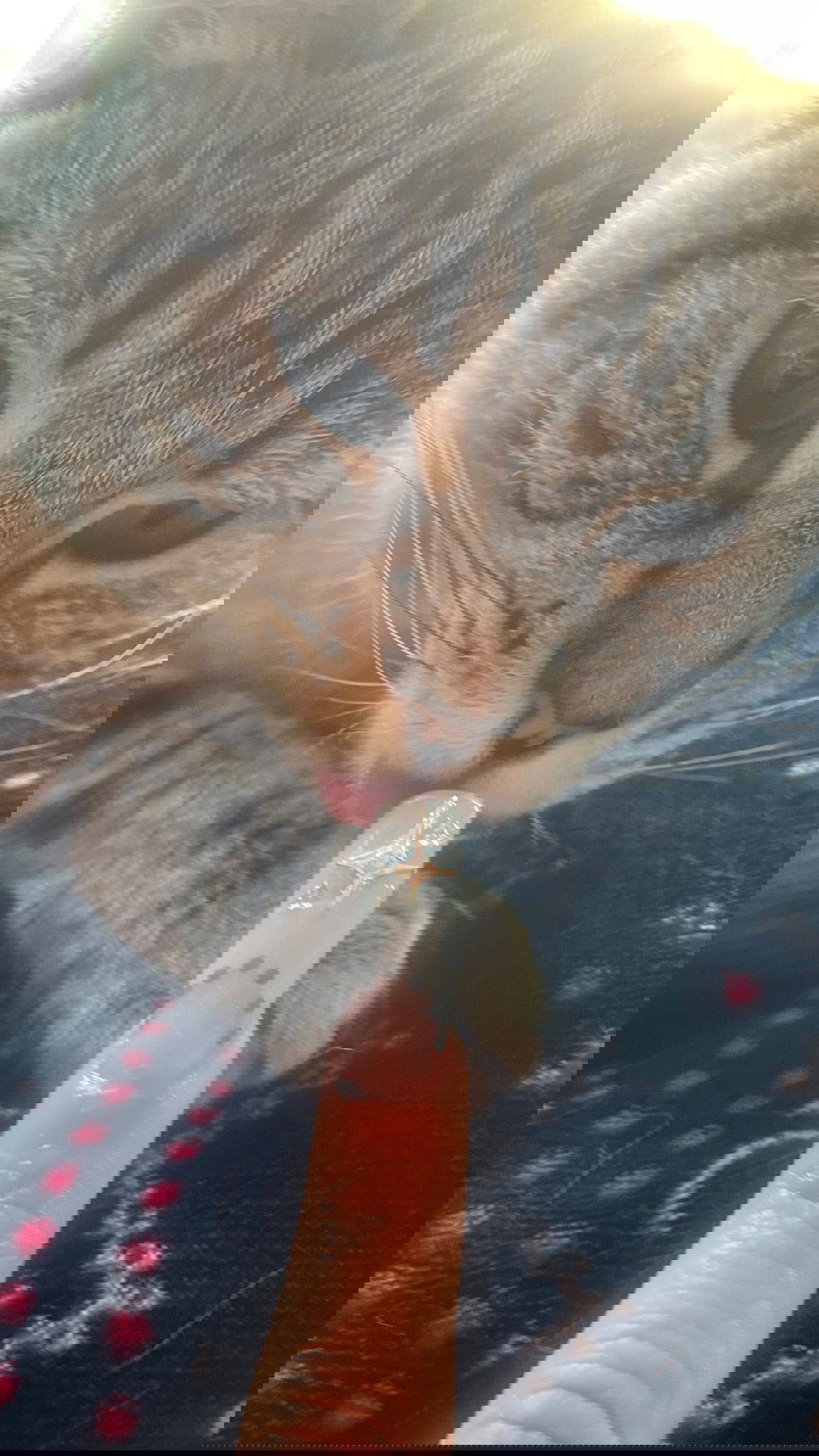 vanessa.julienne instagram image archive image