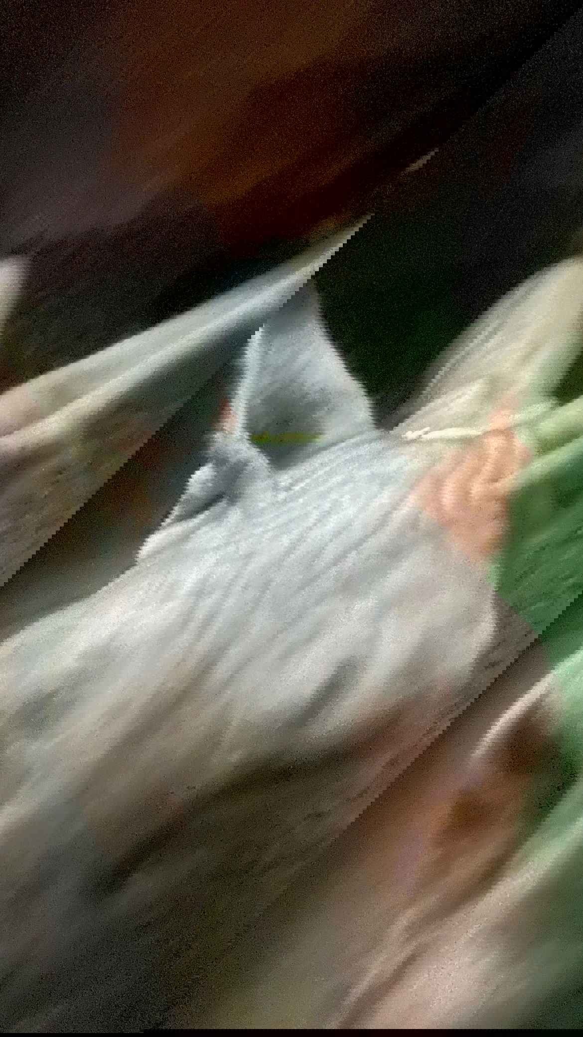 vanessa.julienne instagram image archive image