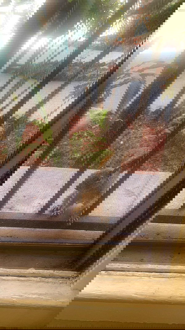 vanessa.julienne image ~ Altpins