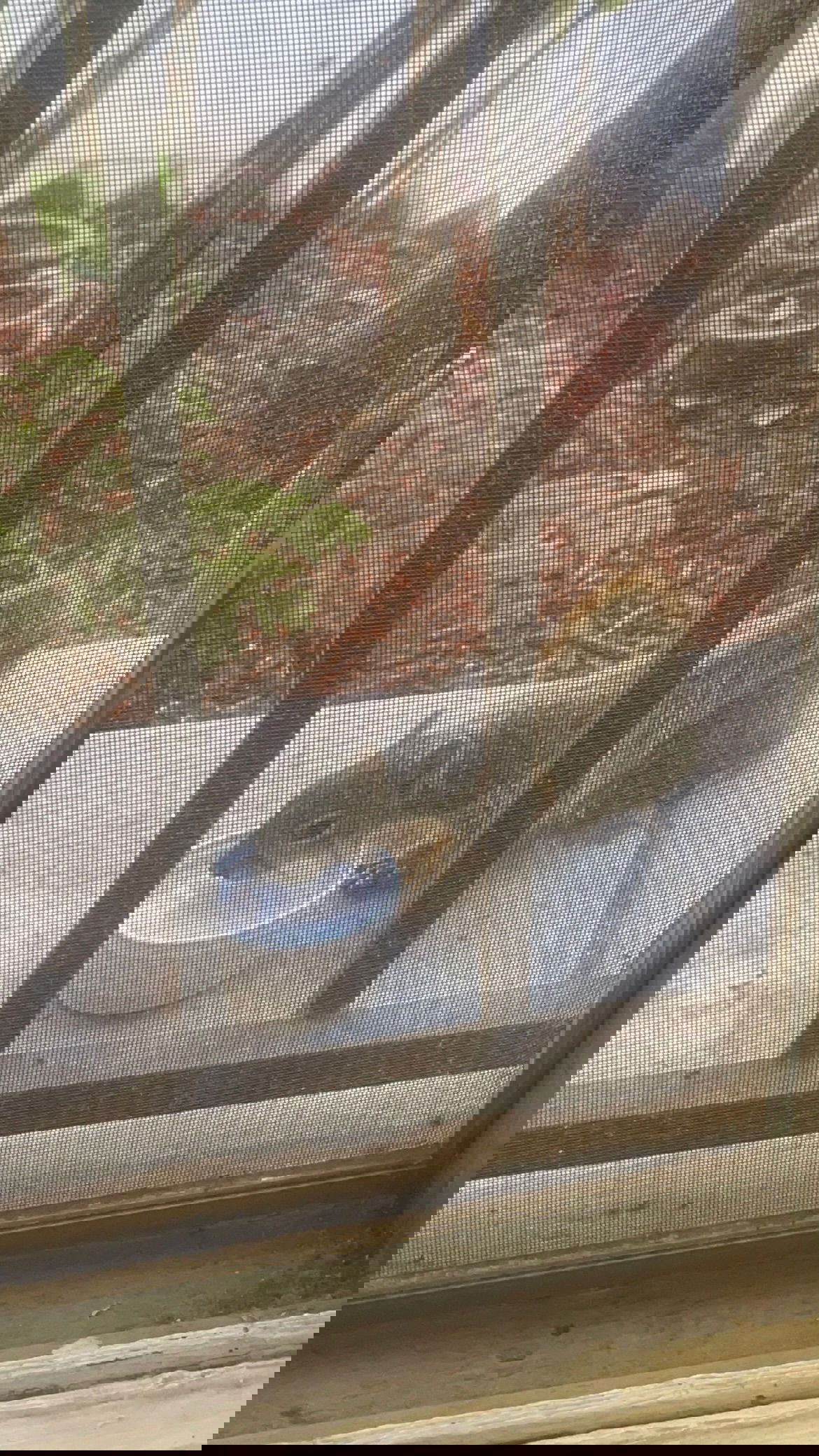 vanessa.julienne instagram image archive image