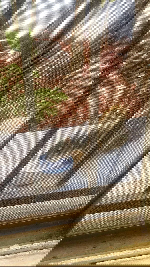 vanessa.julienne image ~ Altpins