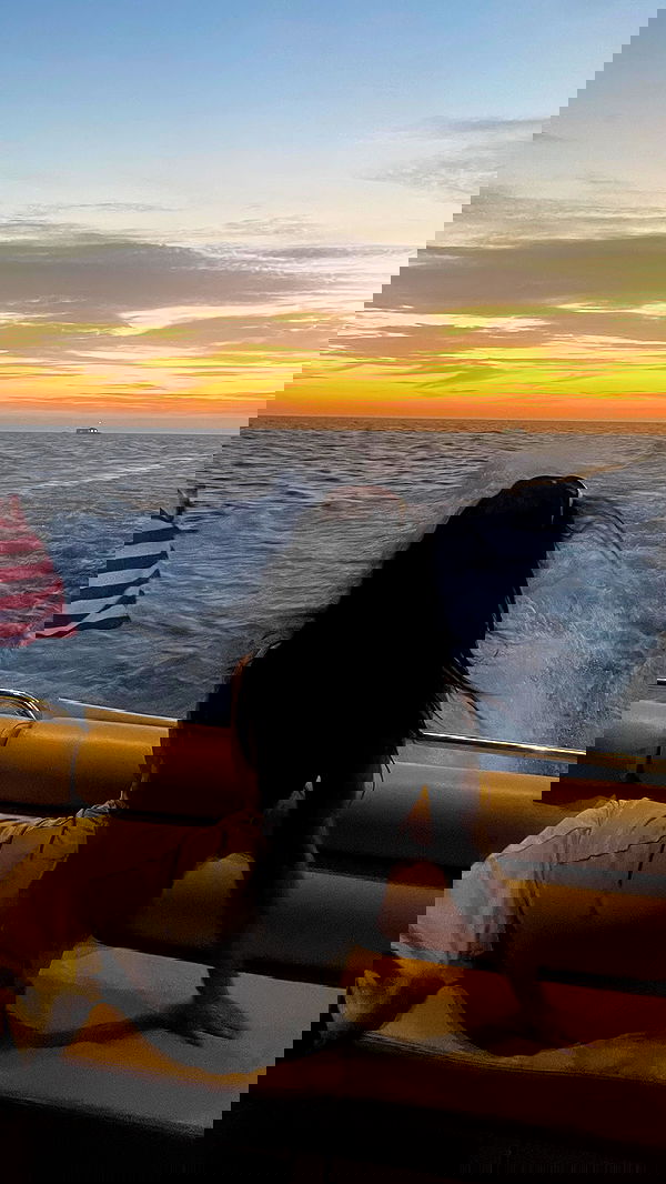 vanessa.julienne image ~ Altpins