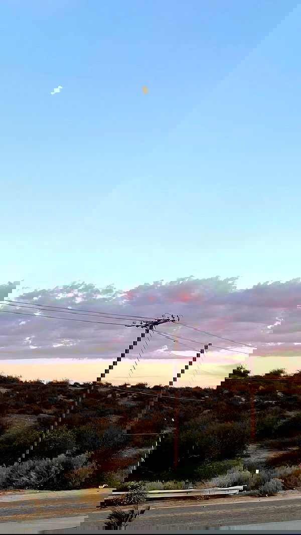 vanessa.julienne image ~ Altpins