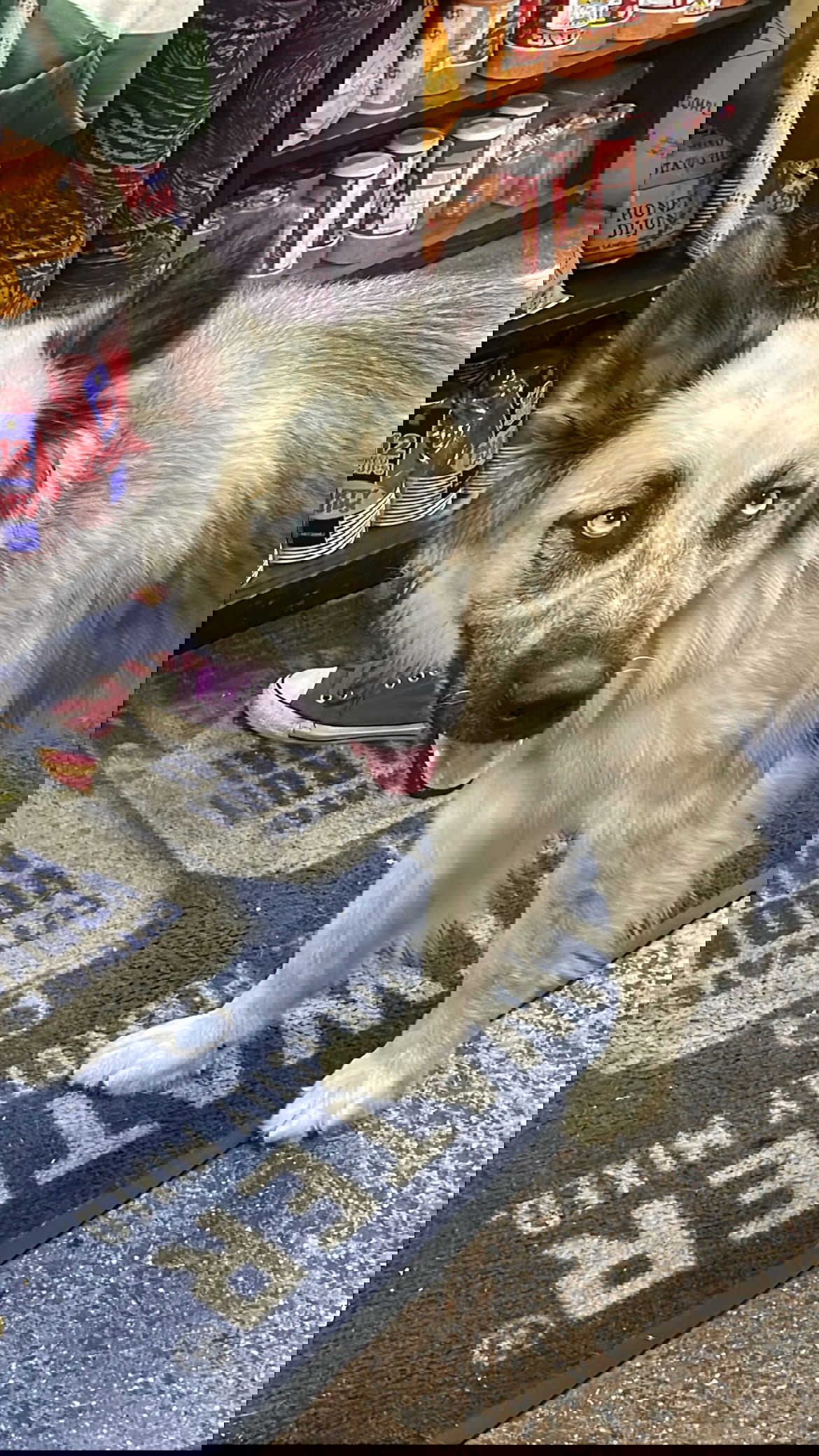 vanessa.julienne instagram image archive image