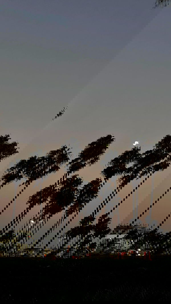 vanessa.julienne image ~ Altpins