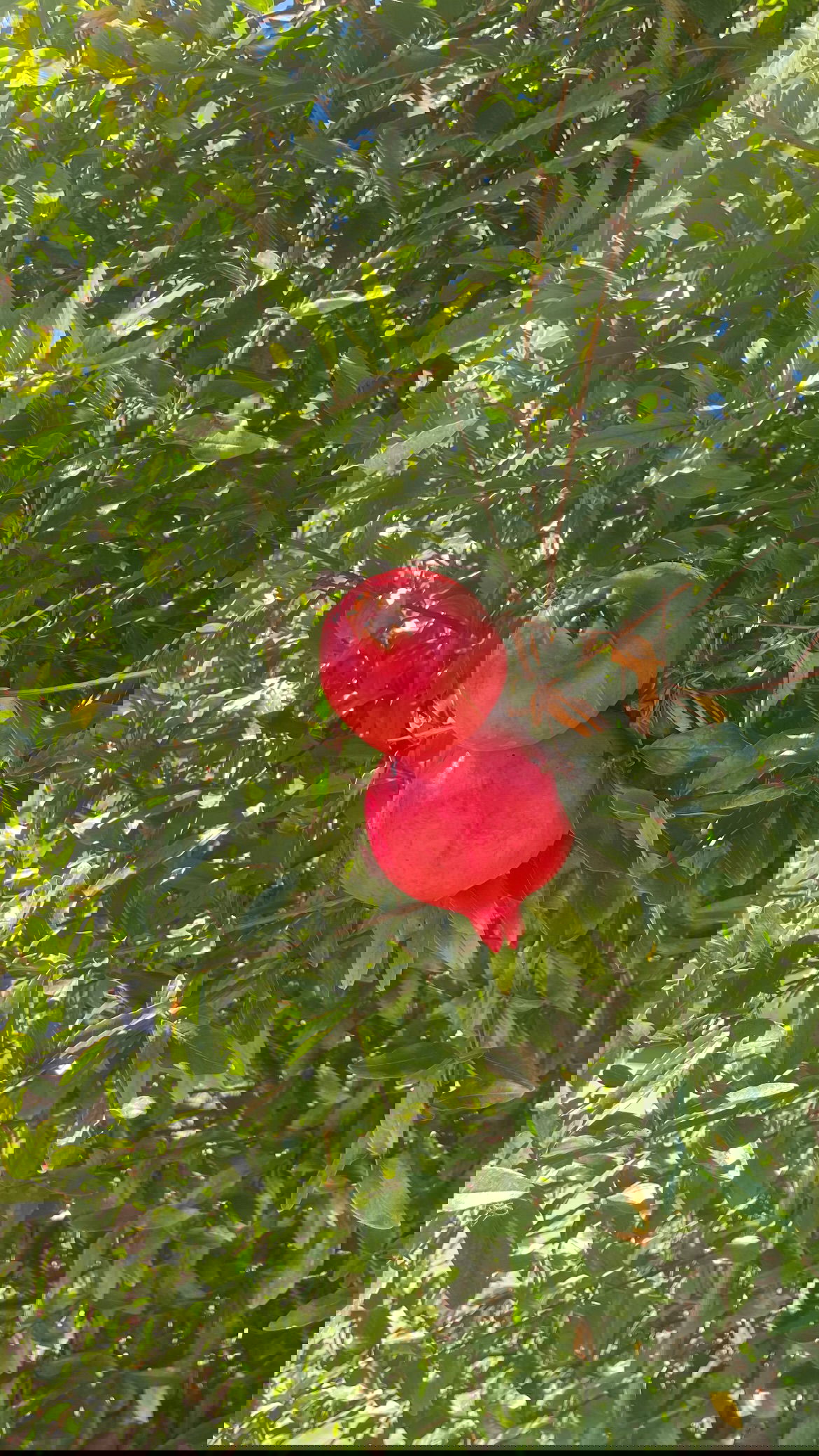 vanessa.julienne instagram image archive image