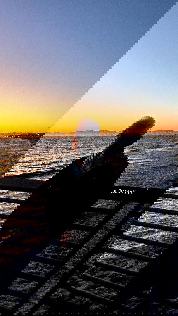 vanessa.julienne image ~ Altpins