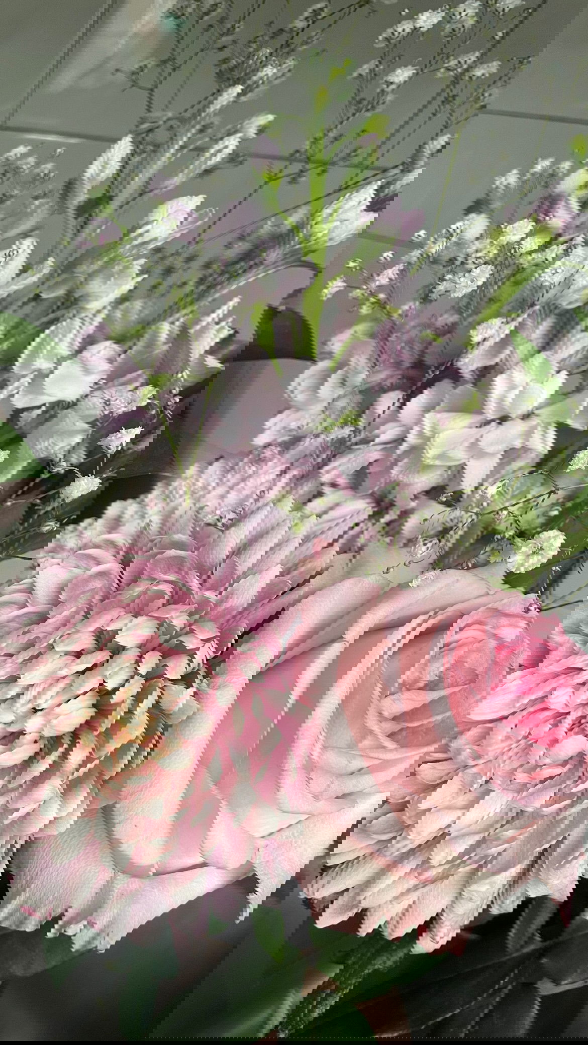 vanessa.julienne instagram image archive image