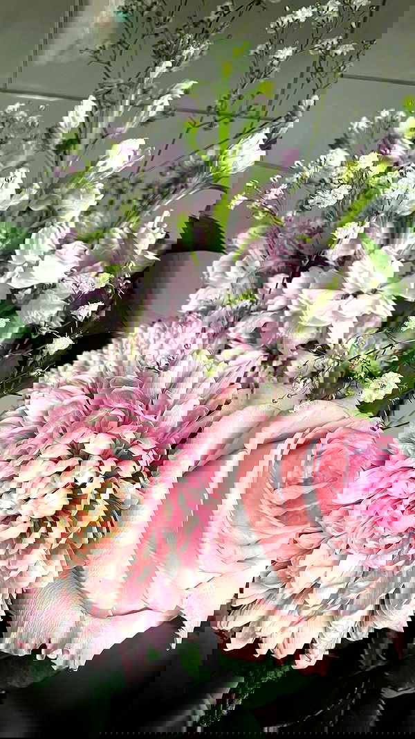 vanessa.julienne image ~ Altpins