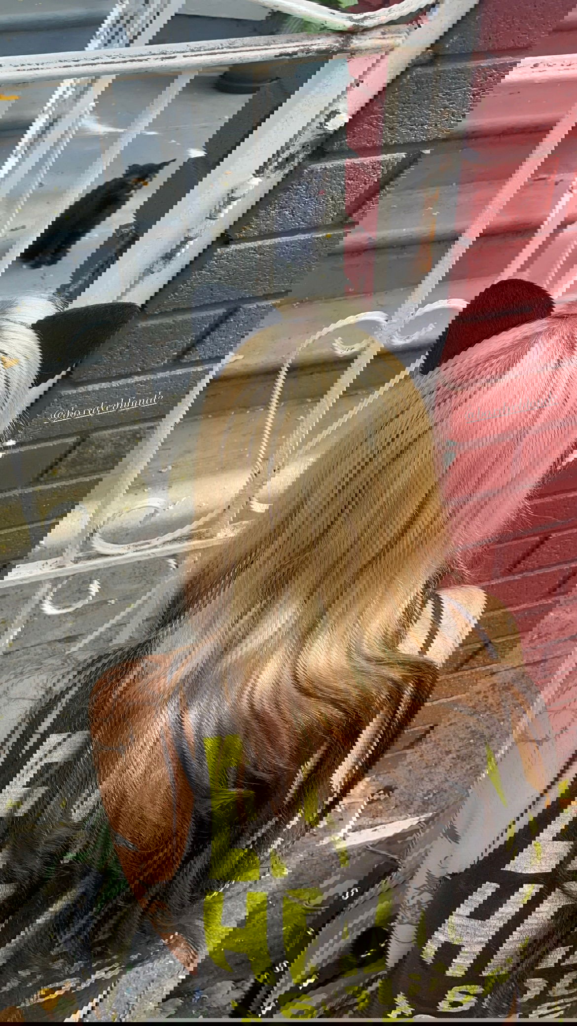 vanessa.julienne instagram image archive image