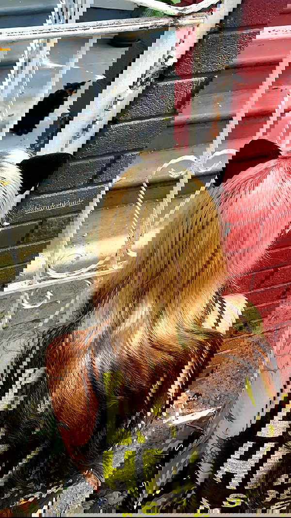 vanessa.julienne image ~ Altpins