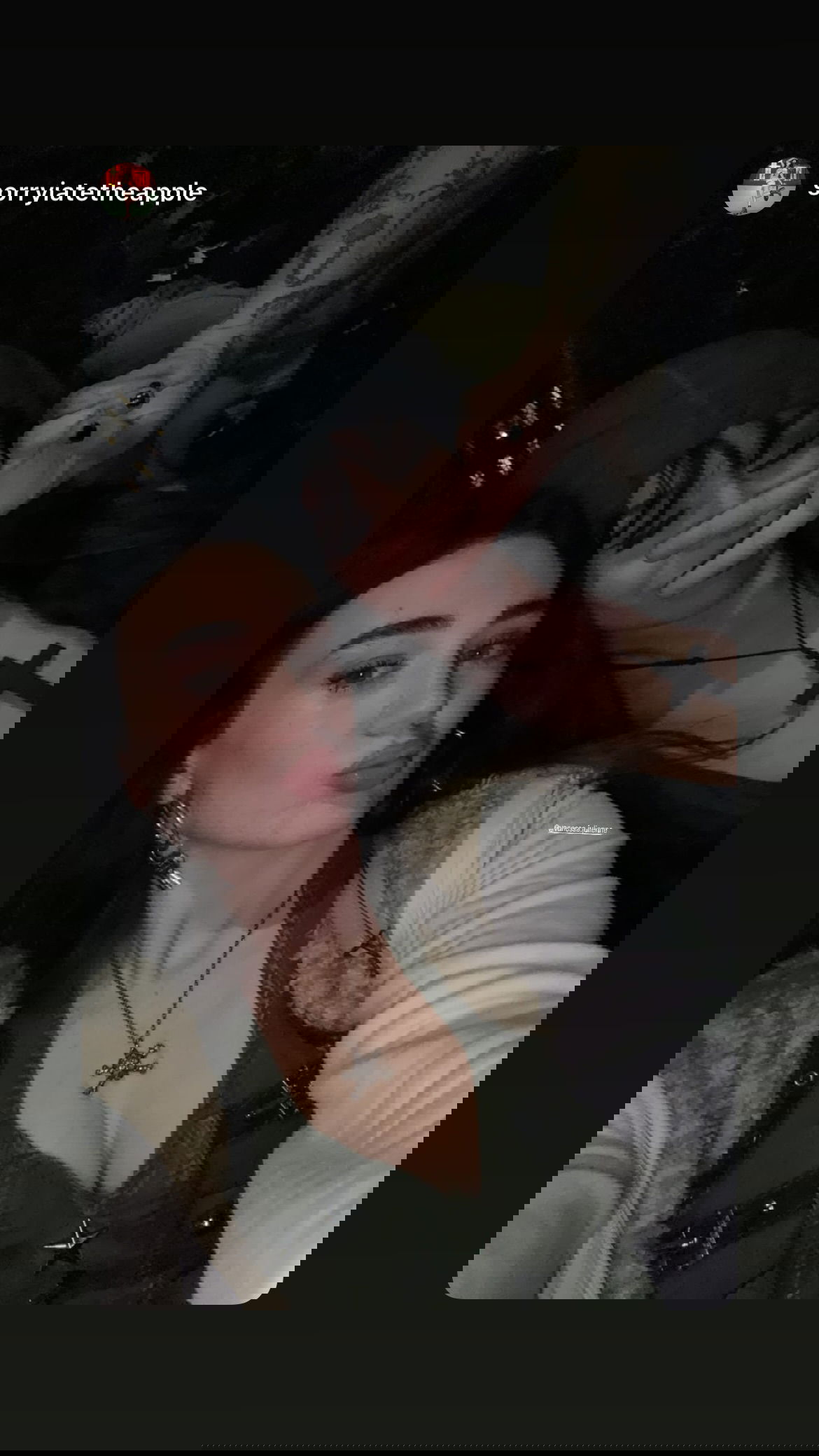 vanessa.julienne instagram image archive image