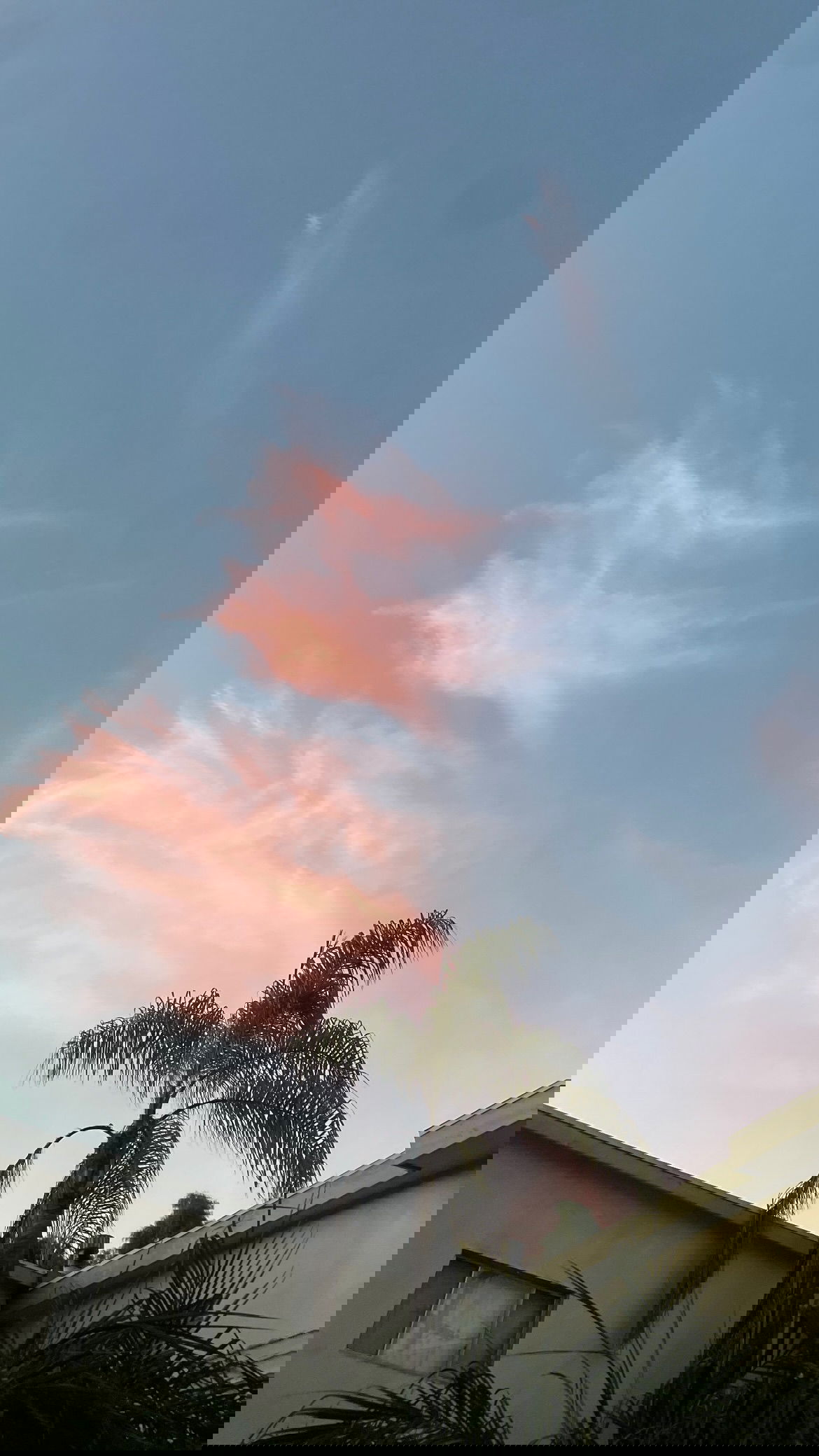 vanessa.julienne instagram image archive image