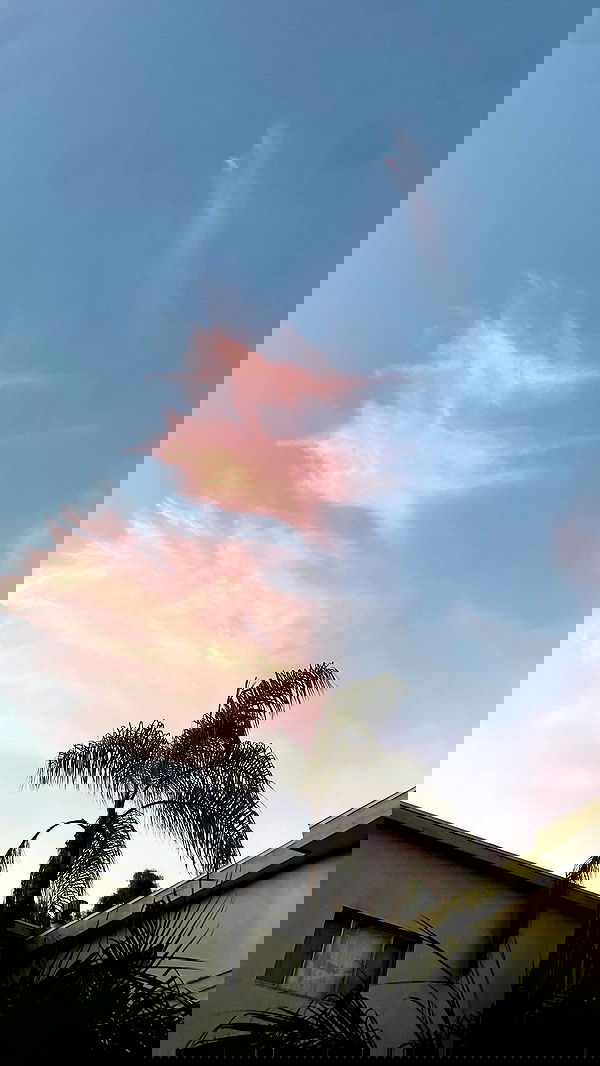 vanessa.julienne image ~ Altpins