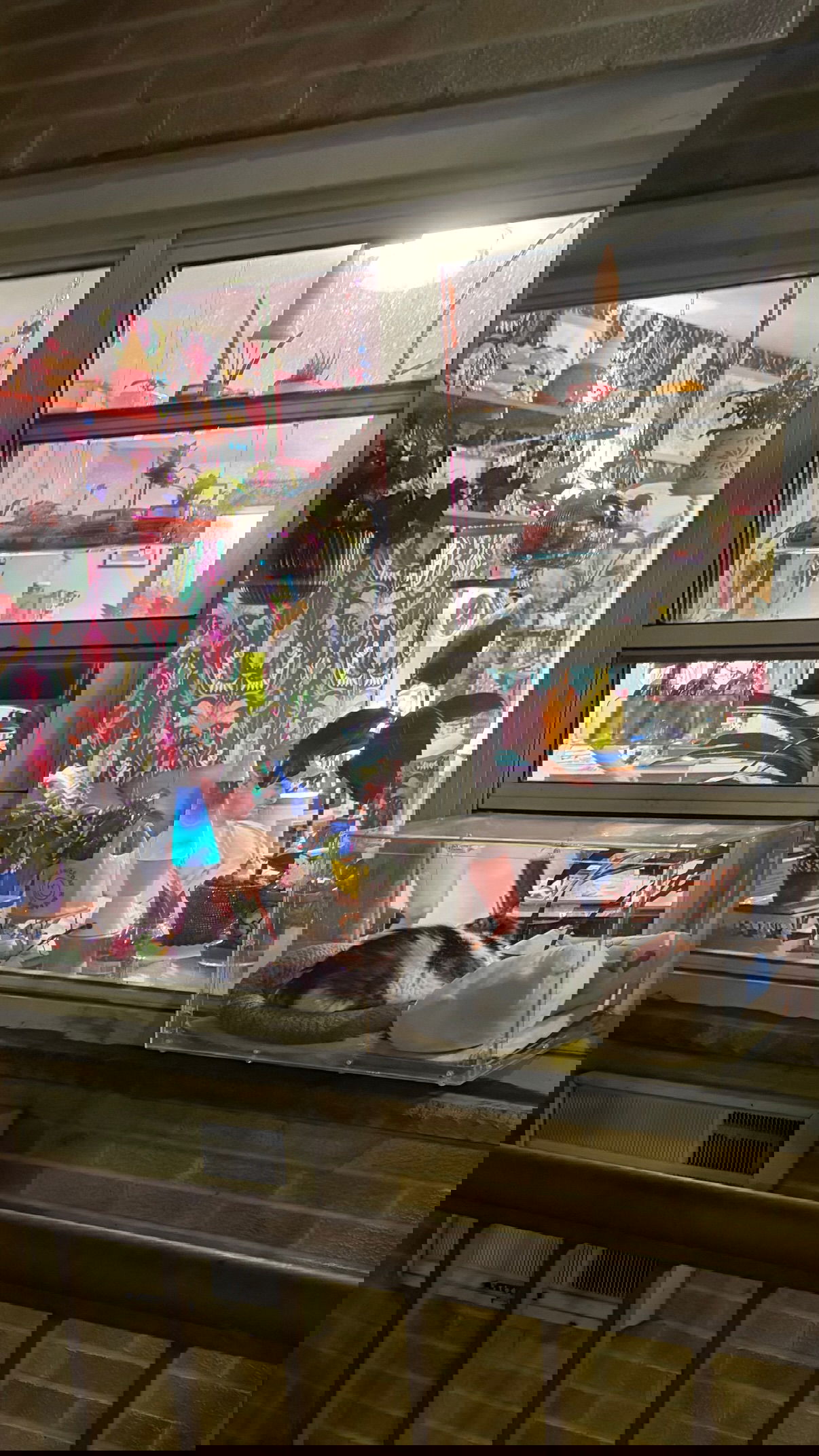 vanessa.julienne instagram image archive image