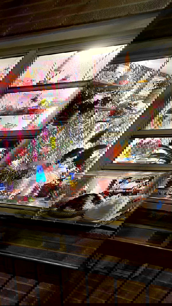 vanessa.julienne image ~ Altpins