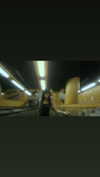 veildose Altpins Profile Picture
