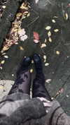 veildose Altpins Profile Picture