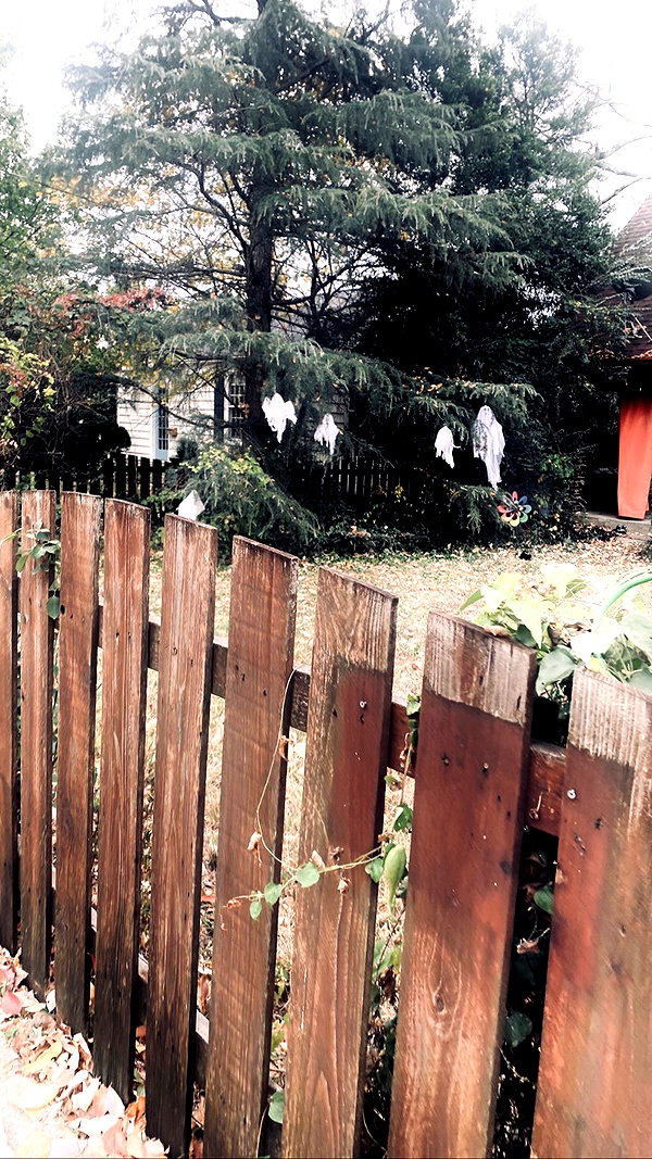 veildose instagram image archive image