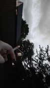 veildose Altpins Profile Picture