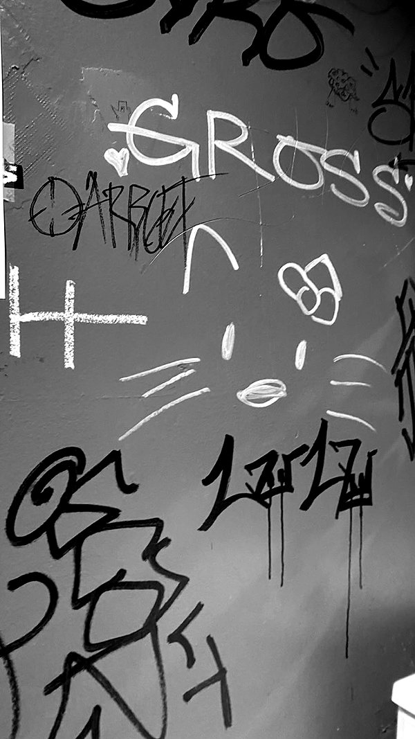 veildose veildose archive image